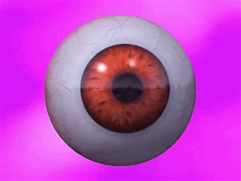 eye balls gif|creepy eyeball gif.